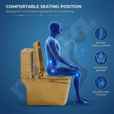 Premium Floor Mounted Ceramic Toilet with Comfortable Seat