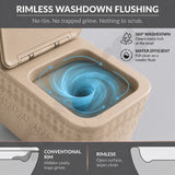 Efficient 360 Degree Rimless Flush Technology