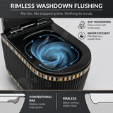 Rimless Washdown Flushing System for Black Wall Hung Toilet